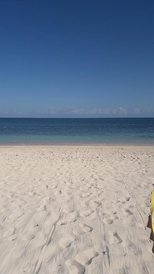 Seacastle Deluxe Studio Montego Bay Exterior photo