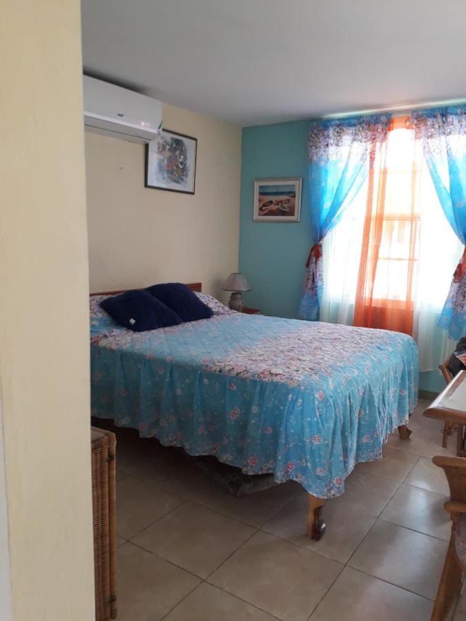 Seacastle Deluxe Studio Montego Bay Exterior photo