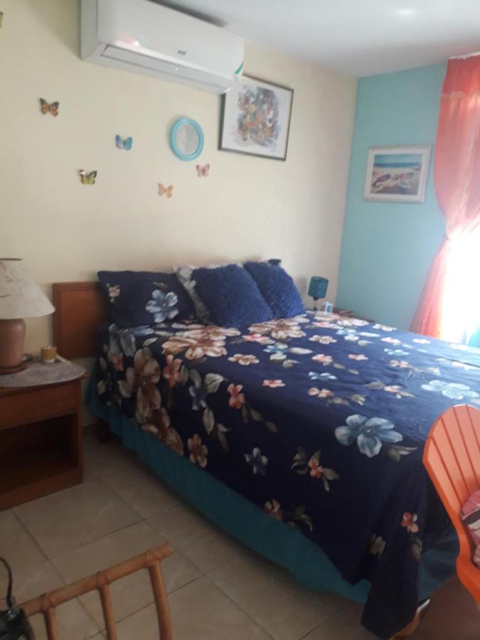 Seacastle Deluxe Studio Montego Bay Exterior photo