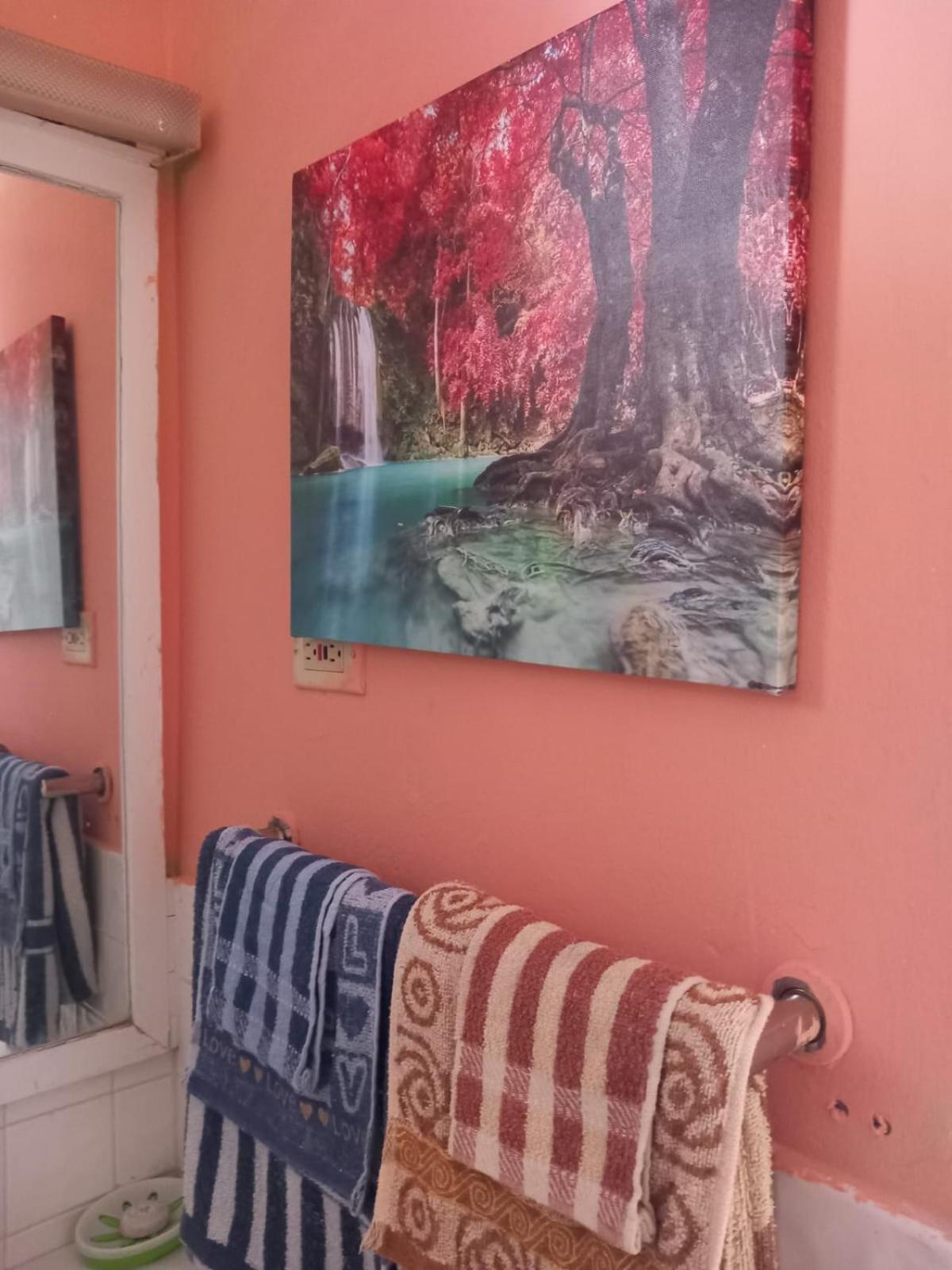 Seacastle Deluxe Studio Montego Bay Exterior photo