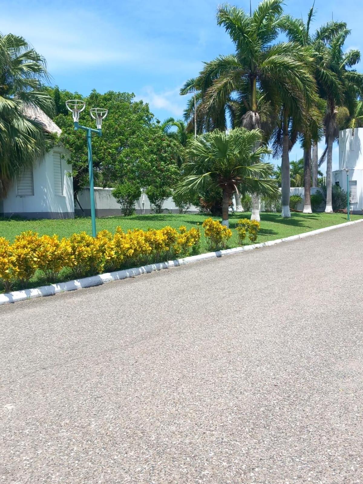 Seacastle Deluxe Studio Montego Bay Exterior photo