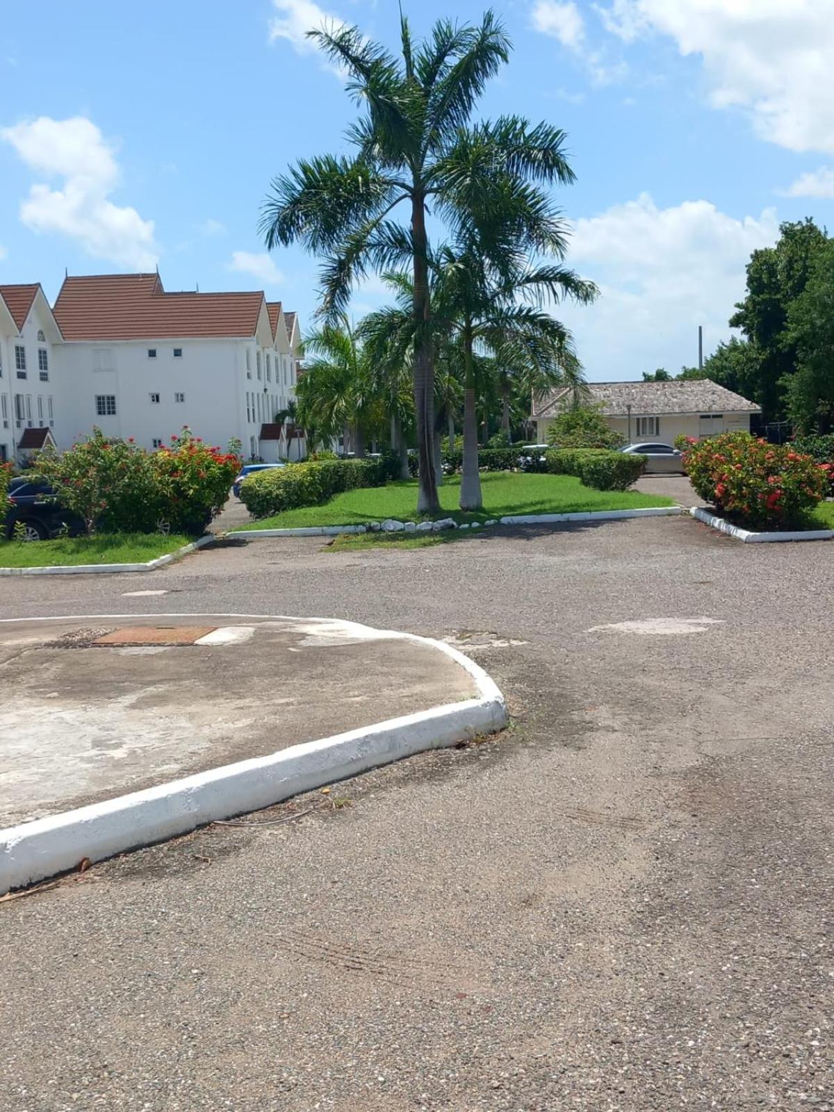 Seacastle Deluxe Studio Montego Bay Exterior photo
